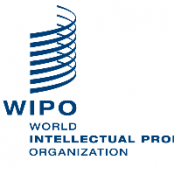 International Youth Day / Innovation Fair