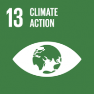 SDGzine#05 : Goal 13/Climate Action